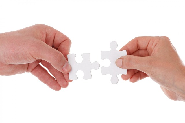 Consulenza IT e ITC immagine